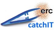 logo catchIT